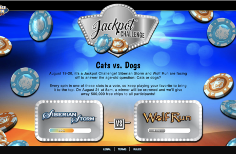 Jackpot Challenge - Cats vs. Dogs Promotion Image