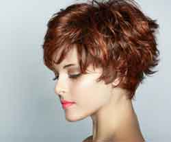 picture of short hairstyle
