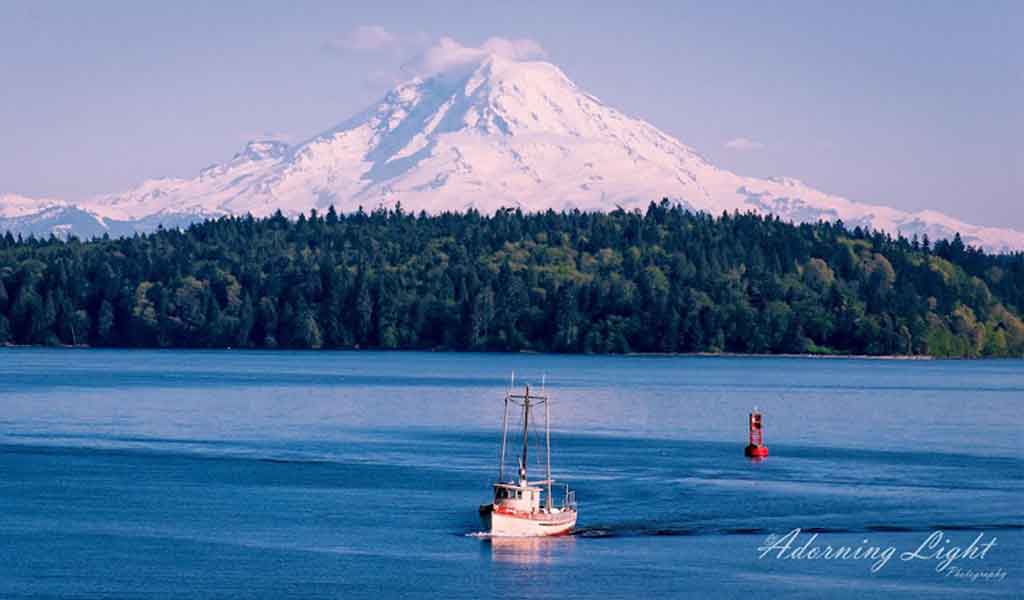 NW Scenery