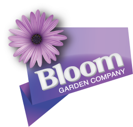 bloom logo