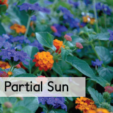 partial sun button