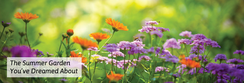 flower picture